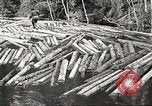 Image of lumber industry United States USA, 1922, second 57 stock footage video 65675063924