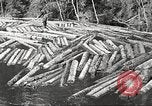Image of lumber industry United States USA, 1922, second 58 stock footage video 65675063924