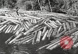 Image of lumber industry United States USA, 1922, second 59 stock footage video 65675063924
