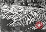Image of lumber industry United States USA, 1922, second 60 stock footage video 65675063924