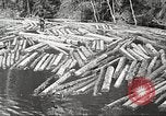 Image of lumber industry United States USA, 1922, second 61 stock footage video 65675063924