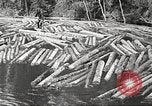 Image of lumber industry United States USA, 1922, second 62 stock footage video 65675063924