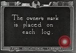 Image of lumber industry United States USA, 1922, second 4 stock footage video 65675063925