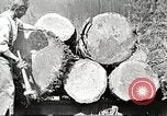 Image of lumber industry United States USA, 1922, second 9 stock footage video 65675063925