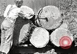 Image of lumber industry United States USA, 1922, second 10 stock footage video 65675063925