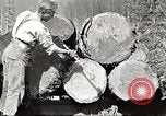Image of lumber industry United States USA, 1922, second 11 stock footage video 65675063925