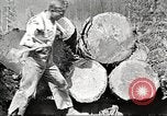 Image of lumber industry United States USA, 1922, second 12 stock footage video 65675063925