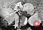 Image of lumber industry United States USA, 1922, second 13 stock footage video 65675063925