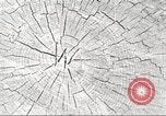 Image of lumber industry United States USA, 1922, second 14 stock footage video 65675063925