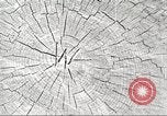 Image of lumber industry United States USA, 1922, second 16 stock footage video 65675063925