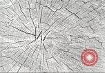 Image of lumber industry United States USA, 1922, second 17 stock footage video 65675063925