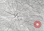 Image of lumber industry United States USA, 1922, second 18 stock footage video 65675063925