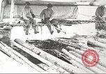Image of lumber industry United States USA, 1922, second 28 stock footage video 65675063925