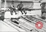 Image of lumber industry United States USA, 1922, second 33 stock footage video 65675063925