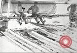 Image of lumber industry United States USA, 1922, second 37 stock footage video 65675063925