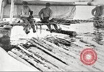 Image of lumber industry United States USA, 1922, second 39 stock footage video 65675063925