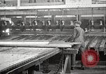 Image of lumber industry United States USA, 1922, second 24 stock footage video 65675063926