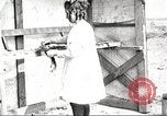 Image of lumber industry United States USA, 1922, second 36 stock footage video 65675063927
