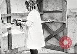 Image of lumber industry United States USA, 1922, second 37 stock footage video 65675063927