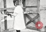 Image of lumber industry United States USA, 1922, second 38 stock footage video 65675063927