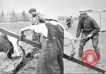 Image of lumber industry United States USA, 1922, second 46 stock footage video 65675063927