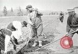 Image of lumber industry United States USA, 1922, second 50 stock footage video 65675063927