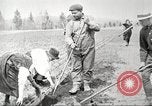 Image of lumber industry United States USA, 1922, second 51 stock footage video 65675063927