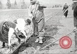 Image of lumber industry United States USA, 1922, second 52 stock footage video 65675063927