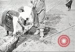 Image of lumber industry United States USA, 1922, second 54 stock footage video 65675063927