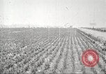 Image of lumber industry United States USA, 1922, second 55 stock footage video 65675063927