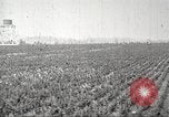 Image of lumber industry United States USA, 1922, second 60 stock footage video 65675063927