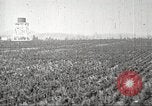 Image of lumber industry United States USA, 1922, second 61 stock footage video 65675063927