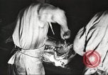 Image of workers in butchery United States USA, 1919, second 14 stock footage video 65675063928