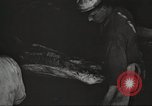 Image of workers in butchery United States USA, 1919, second 19 stock footage video 65675063928