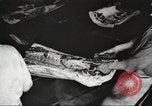 Image of workers in butchery United States USA, 1919, second 24 stock footage video 65675063928