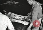 Image of workers in butchery United States USA, 1919, second 26 stock footage video 65675063928