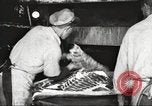 Image of workers in butchery United States USA, 1919, second 35 stock footage video 65675063928