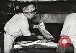 Image of workers in butchery United States USA, 1919, second 50 stock footage video 65675063928