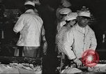 Image of workers in butchery United States USA, 1919, second 24 stock footage video 65675063931