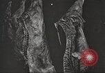 Image of workers in butchery United States USA, 1919, second 22 stock footage video 65675063932