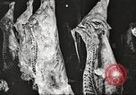 Image of workers in butchery United States USA, 1919, second 24 stock footage video 65675063932