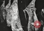Image of workers in butchery United States USA, 1919, second 29 stock footage video 65675063932