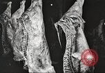 Image of workers in butchery United States USA, 1919, second 30 stock footage video 65675063932