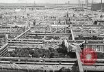 Standbild Arbeitnehmer Metzgerei United States USA, 1919, aus Sekunde 12 historischem Filmmaterial Videoclip 65675063933