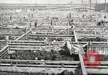 Standbild Arbeitnehmer Metzgerei United States USA, 1919, aus Sekunde 14 historischem Filmmaterial Videoclip 65675063933