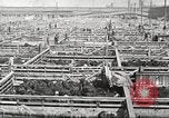 Standbild Arbeitnehmer Metzgerei United States USA, 1919, aus Sekunde 16 historischem Filmmaterial Videoclip 65675063933