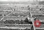 Standbild Arbeitnehmer Metzgerei United States USA, 1919, aus Sekunde 19 historischem Filmmaterial Videoclip 65675063933