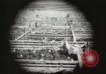 Standbild Arbeitnehmer Metzgerei United States USA, 1919, aus Sekunde 22 historischem Filmmaterial Videoclip 65675063933