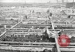 Standbild Arbeitnehmer Metzgerei United States USA, 1919, aus Sekunde 29 historischem Filmmaterial Videoclip 65675063933