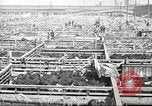 Standbild Arbeitnehmer Metzgerei United States USA, 1919, aus Sekunde 33 historischem Filmmaterial Videoclip 65675063933